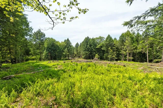 $750,000 | 0 Baird Road, Unit 21, Stowe, VT 05672