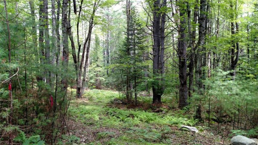 Lot 7 Big Woods Road Harrison, ME 04040 - Photo 2 of 3 20190118154249553019000000-o