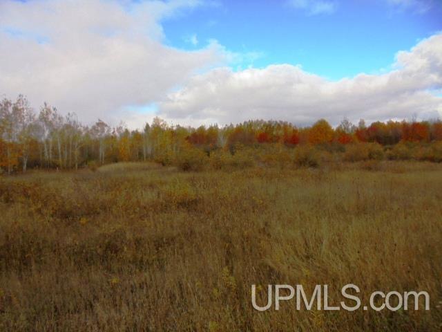 Tbd L P Walsh Road Ontonagon, MI 49953 - Photo 10 of 13