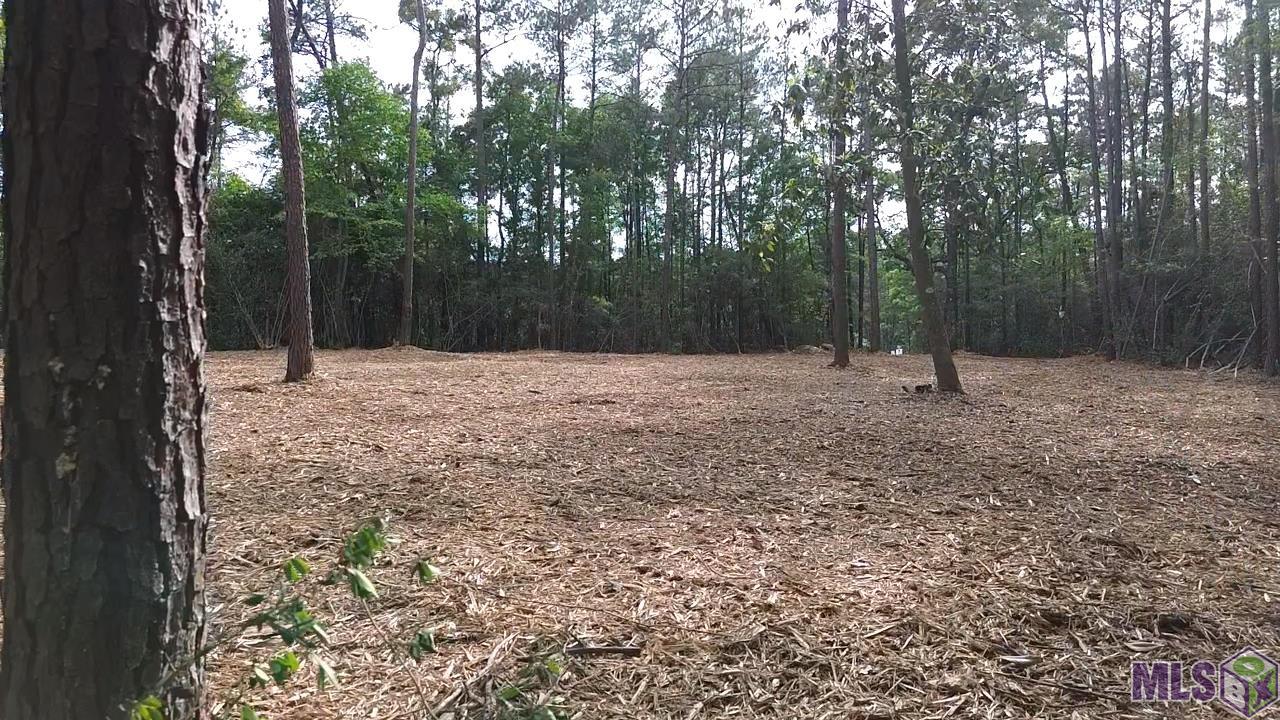 83166 Isabel Swamp Road Bush, LA 70431 - Photo 14 of 20