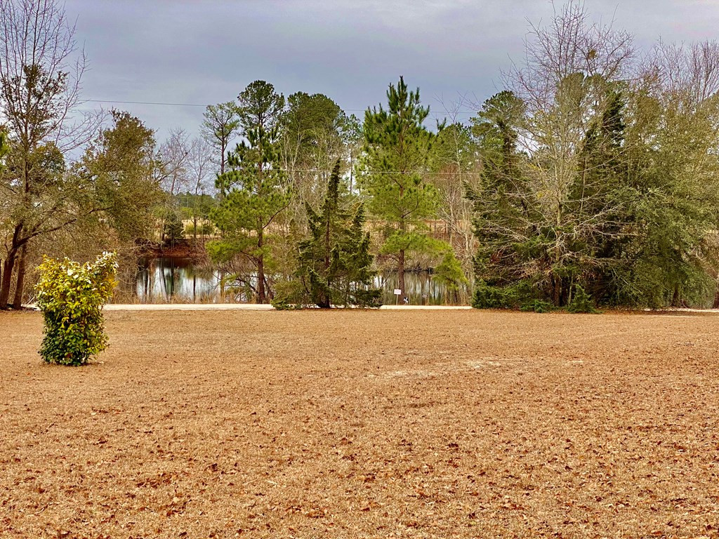 4499 Stillwater Road Orangeburg, SC 29118 - Photo 17 of 17 Photo 17