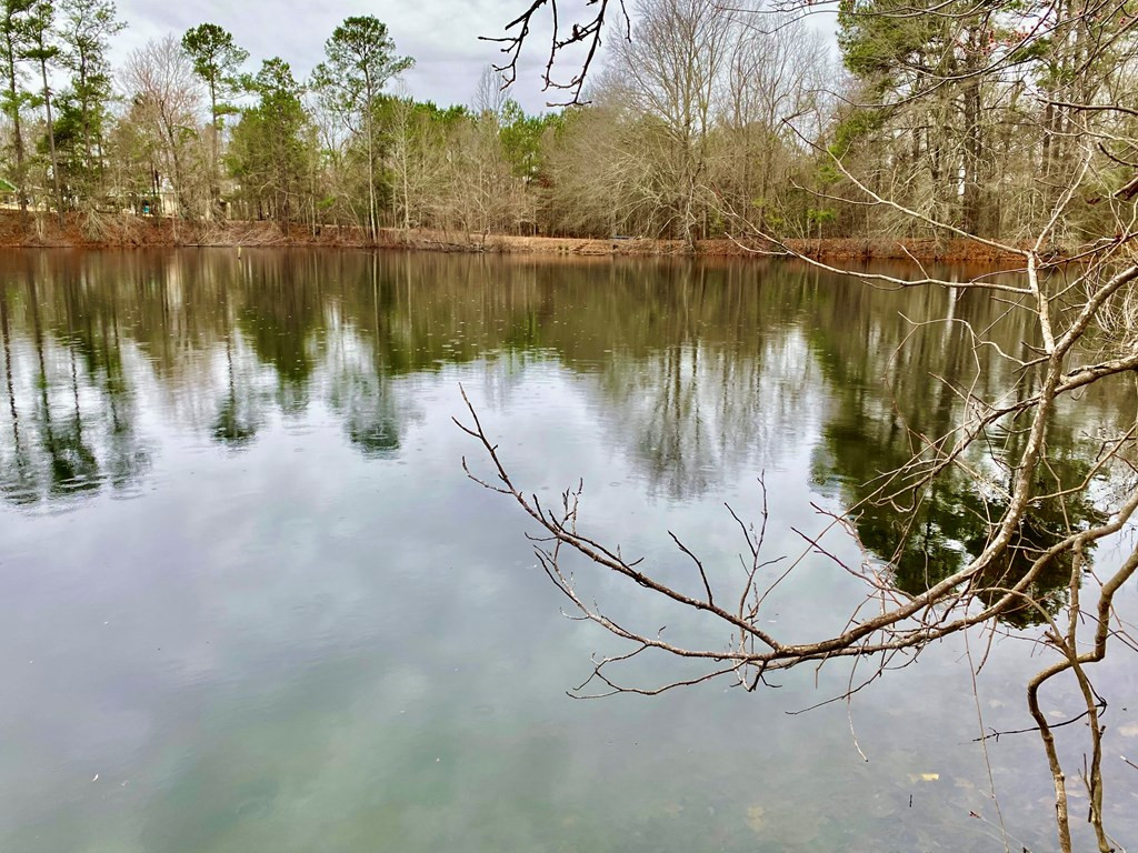 4499 Stillwater Road Orangeburg, SC 29118 - Photo 2 of 17 Photo 2