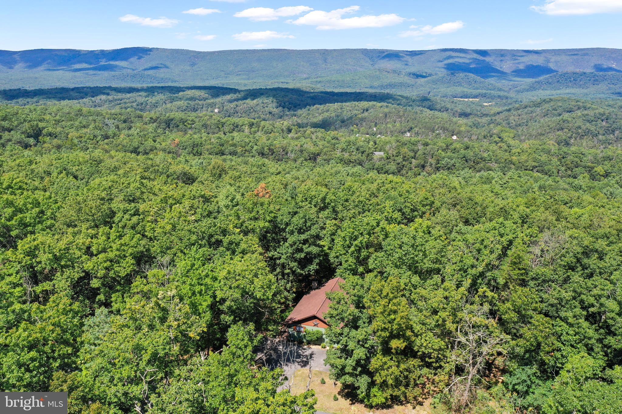 8249 Supinlick Ridge Road Mount Jackson, VA 22842 - Photo 13 of 40