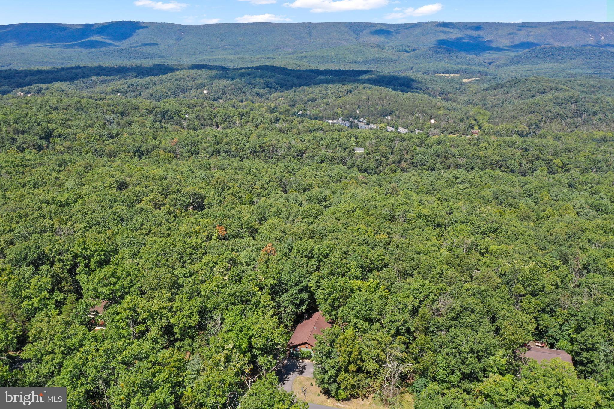 8249 Supinlick Ridge Road Mount Jackson, VA 22842 - Photo 39 of 40 a view of a lush green field