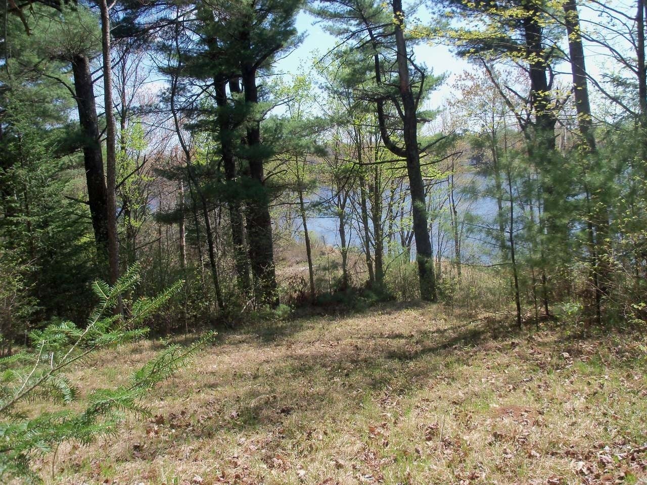 On Eagle Waters Road Tomahawk, WI 54487 - Photo 6 of 19 Gallery Image 6