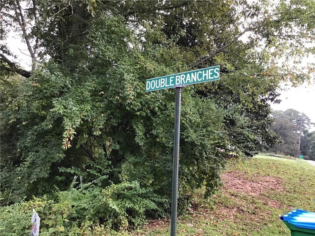 0 Double Branches Road Jasper, GA 30143 - Photo 1 of 1 Gallery Image 1