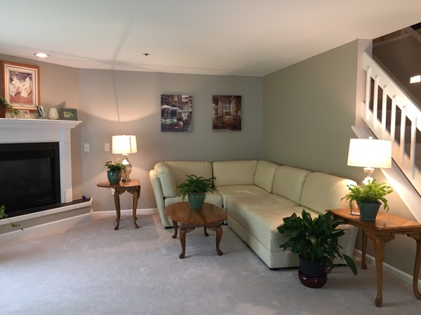 16 Centerview Road, Unit 16 Atkinson, NH 03811 - Photo 5 of 12 a living room with furniture and a fireplace