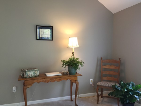 16 Centerview Road, Unit 16 Atkinson, NH 03811 - Photo 8 of 12 a living room with furniture and a potted plant