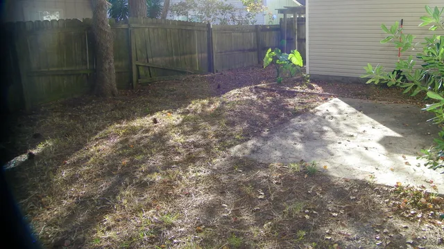 a view of a backyard