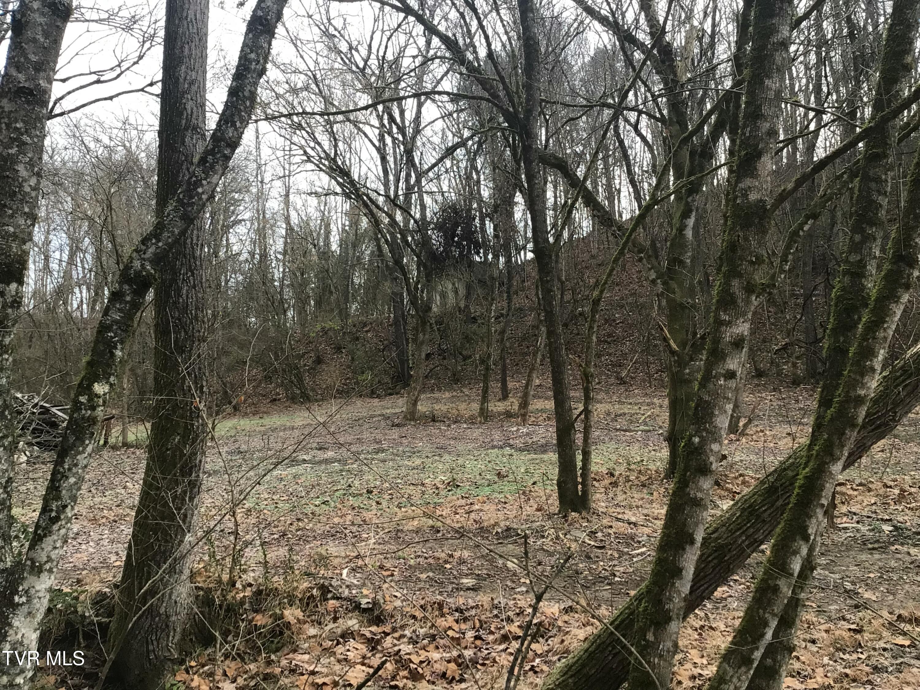 1133 Industrial Road Newport, TN 37821 - Photo 13 of 28 Industrial Rd