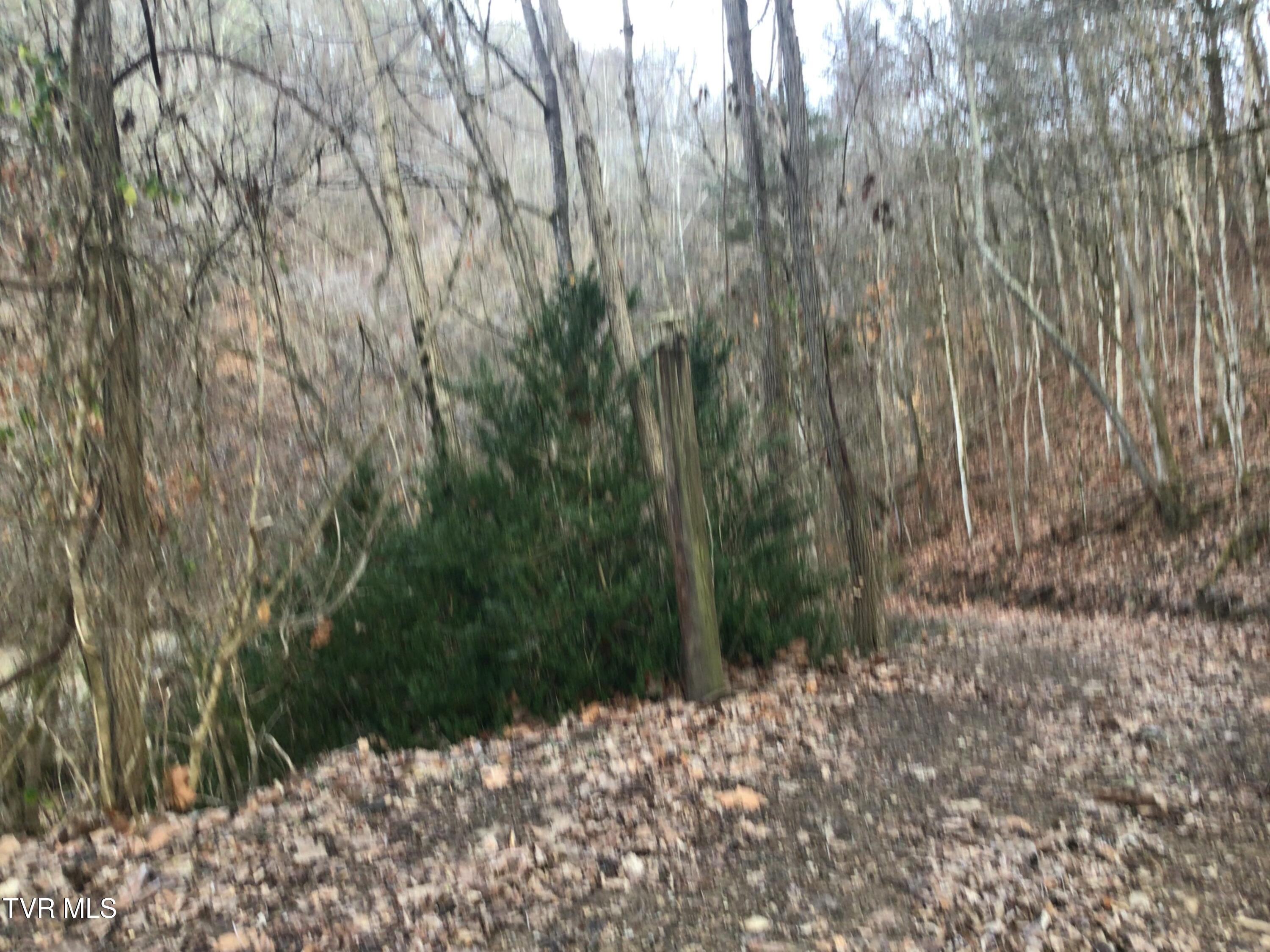 1133 Industrial Road Newport, TN 37821 - Photo 18 of 28 Industrial Rd