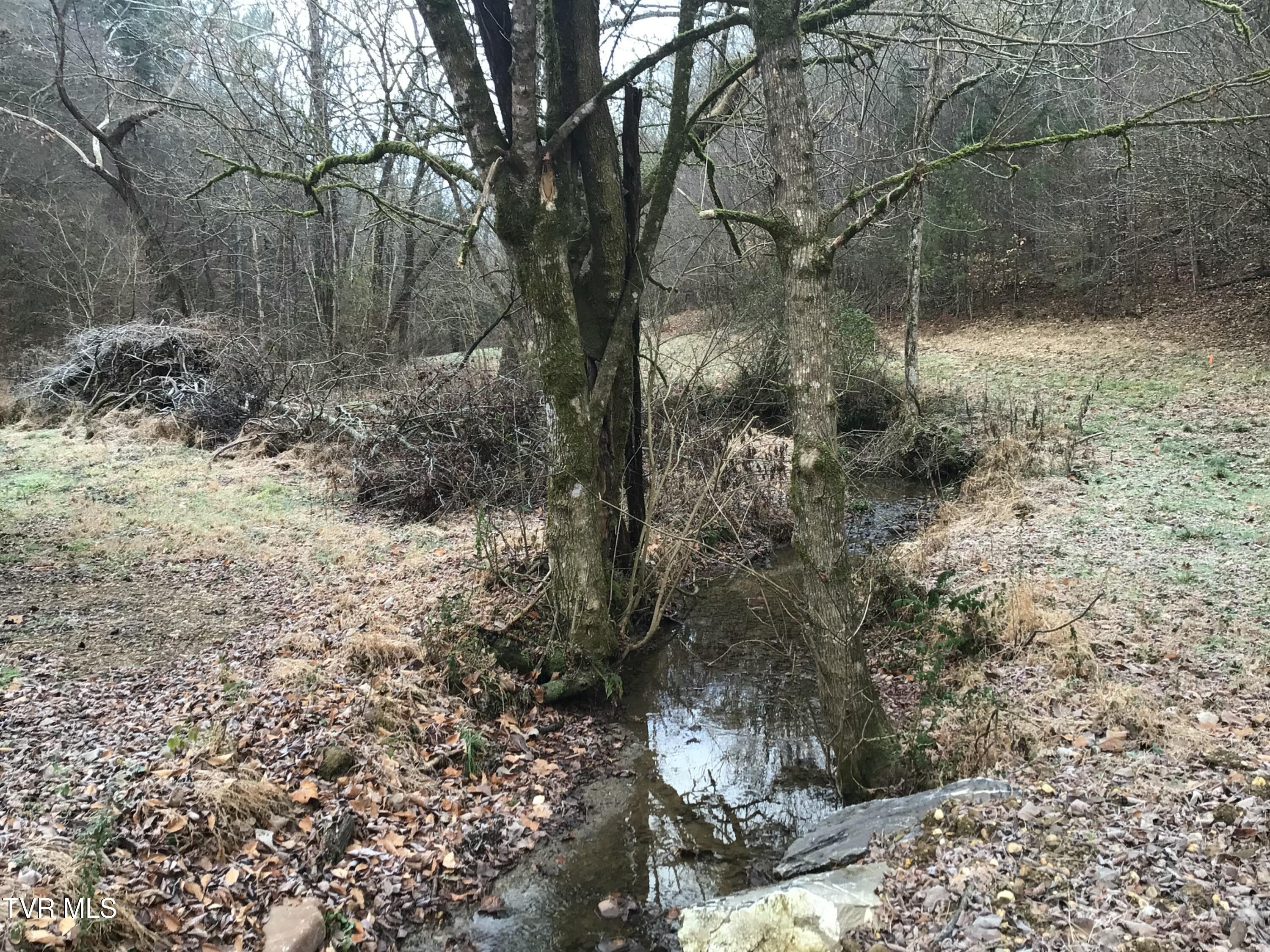 1133 Industrial Road Newport, TN 37821 - Photo 6 of 28 Industrial Rd