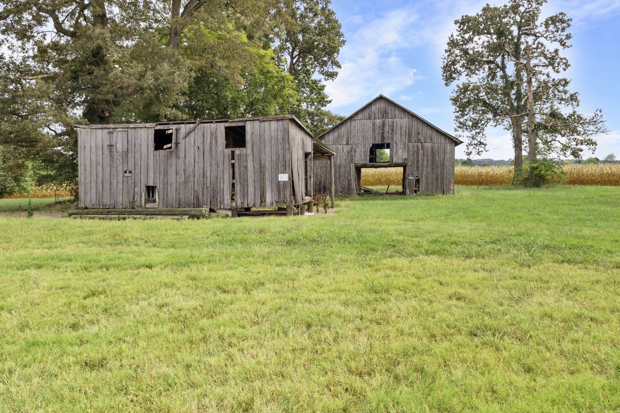 5178 East Robertson Road Cross Plains, TN 37049 - Photo 35 of 44 a front view of house with yard and trees