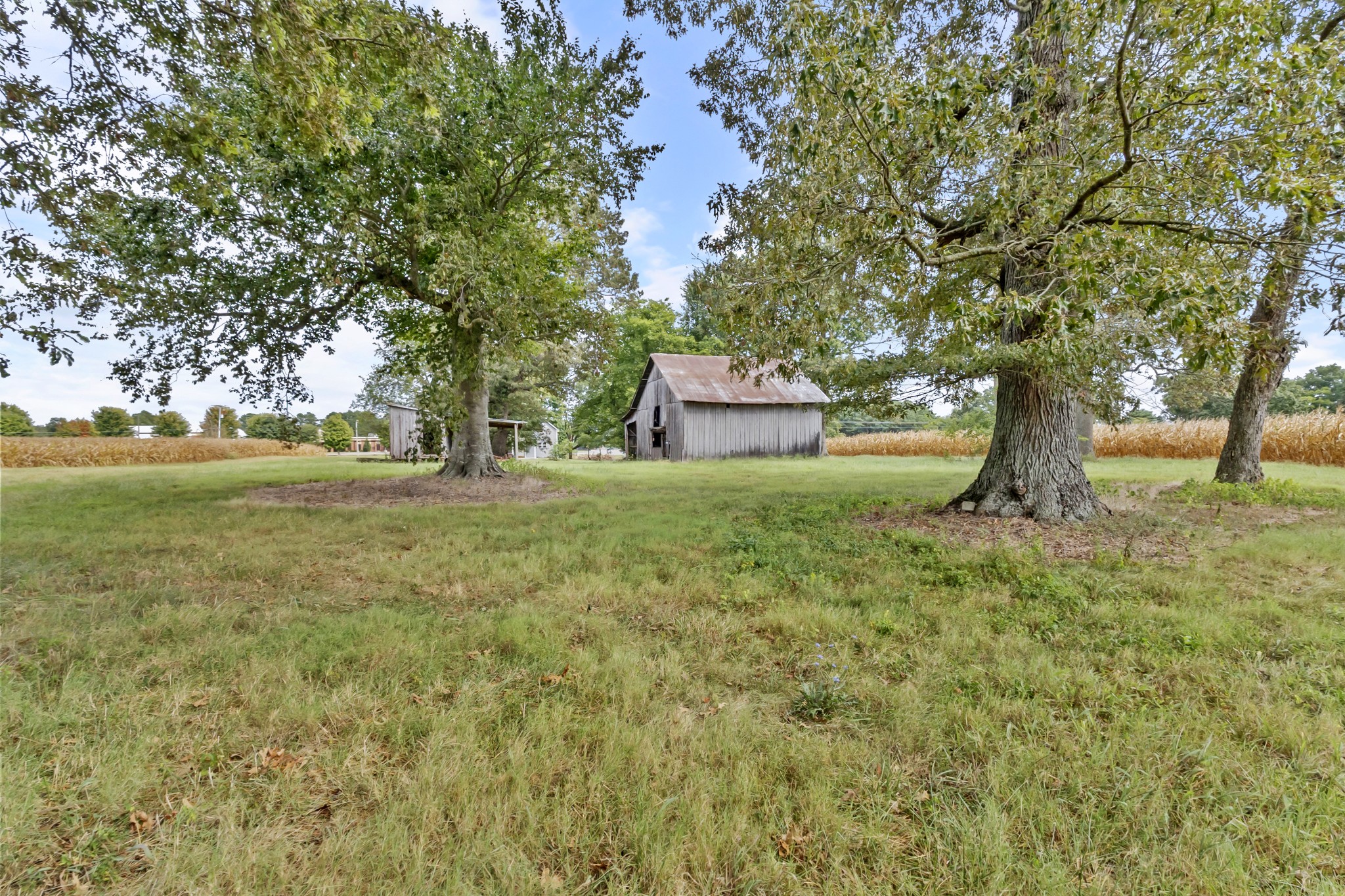 5178 East Robertson Road Cross Plains, TN 37049 - Photo 36 of 44 a backyard of a house with lots of green space