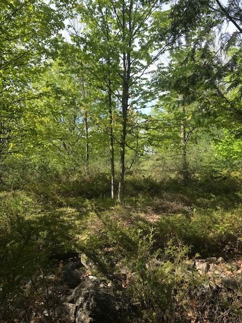 Lot 1 West Meadow Road Fish Creek, WI 54212 - Photo 23 of 33 Gallery Image 23