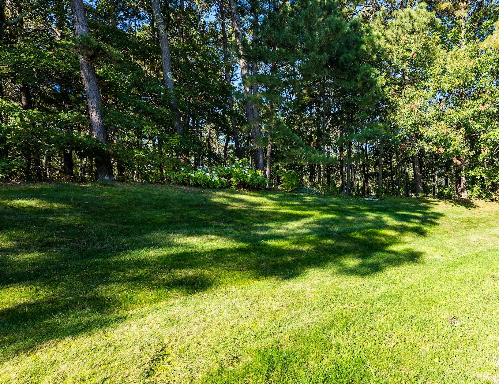 22 Stratford Ridge, Unit 22 Mashpee, MA 02649 - Photo 37 of 40 a big yard with lots of green space