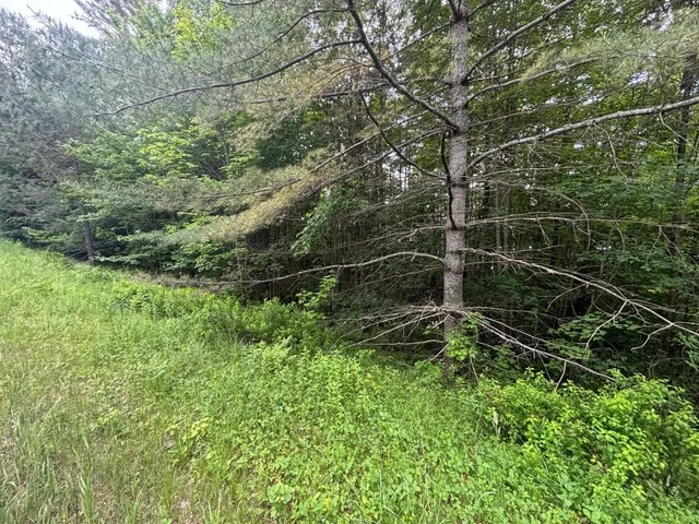 $39,000 | 0 Vt Route 105, Island Pond, VT 05846
