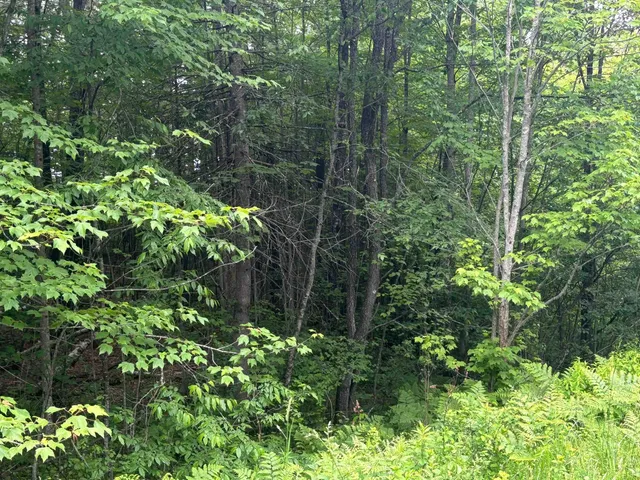 $39,000 | 0 Vt Route 105, Island Pond, VT 05846