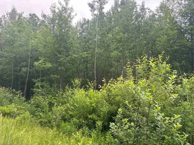 $39,000 | 0 Vt Route 105, Island Pond, VT 05846