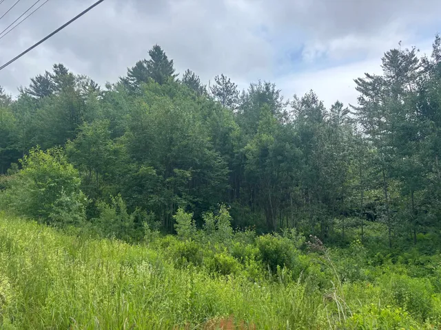 $39,000 | 0 Vt Route 105, Island Pond, VT 05846