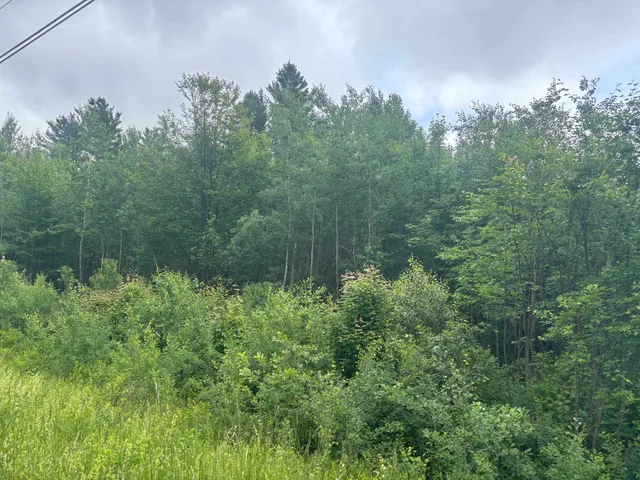 $39,000 | 0 Vt Route 105, Island Pond, VT 05846