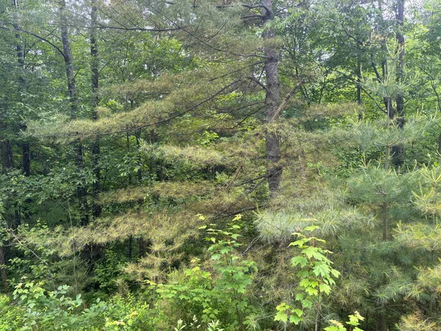 $39,000 | 0 Vt Route 105, Island Pond, VT 05846