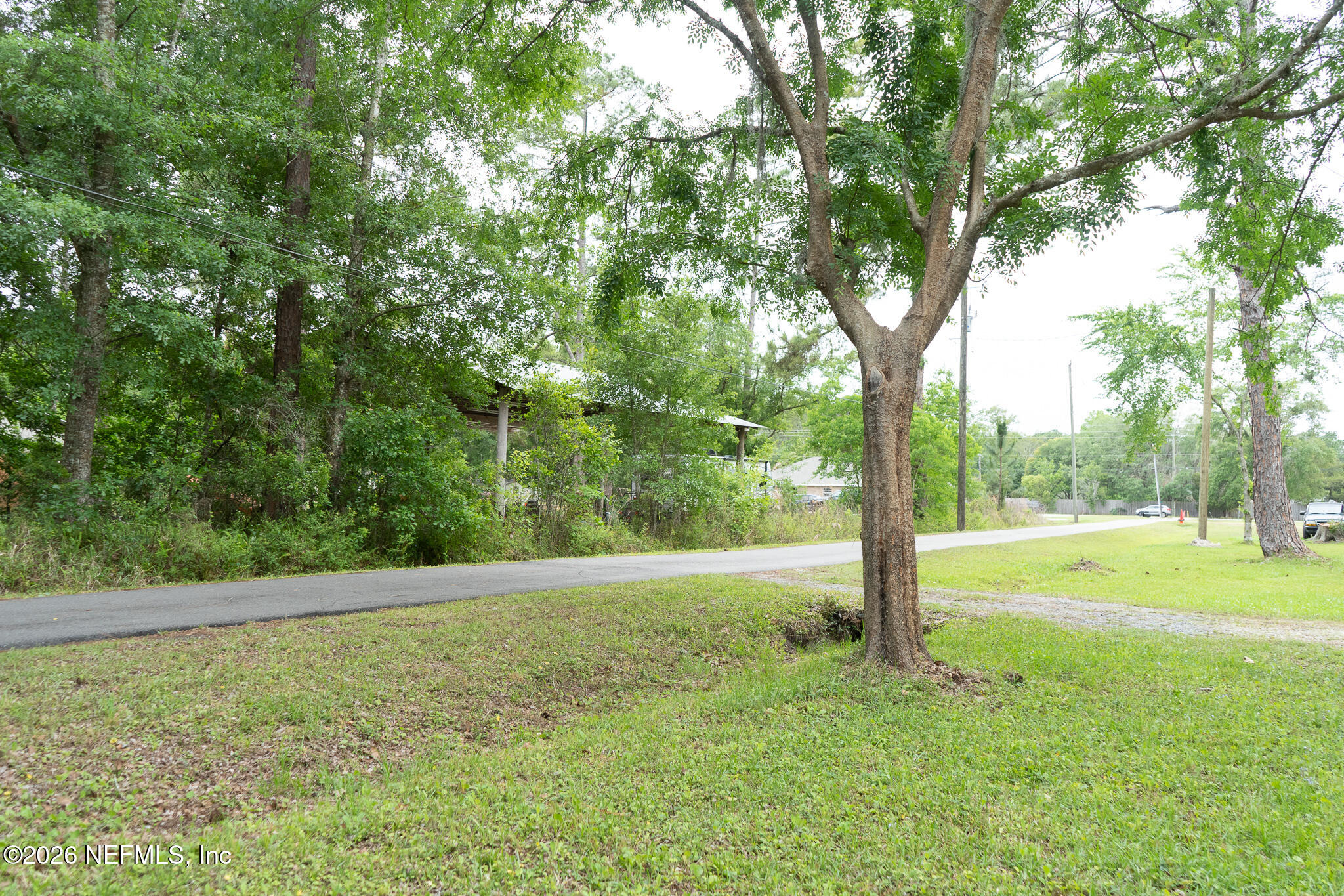 3180 Pacetti Road, Unit A St. Augustine, FL 32092 - Photo 2 of 23 a view of a field with a tree