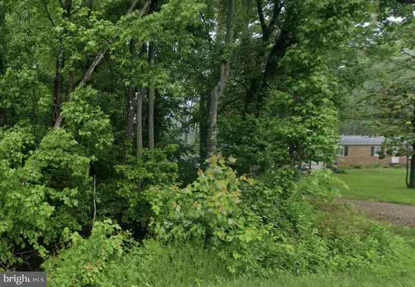 a view of a lush green forest with lots of trees
