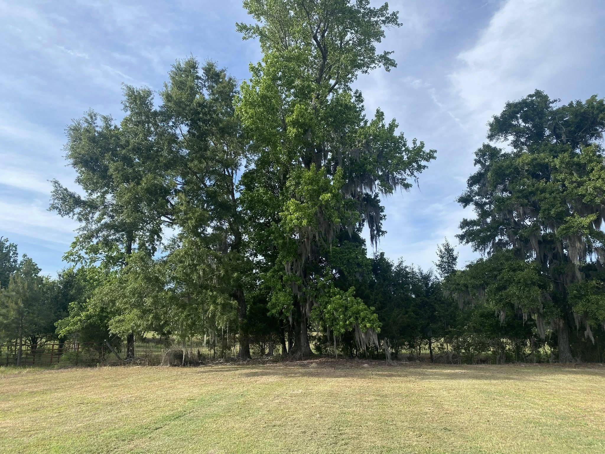 10407 County Line Road Hemingway, SC 29554 - Photo 28 of 35