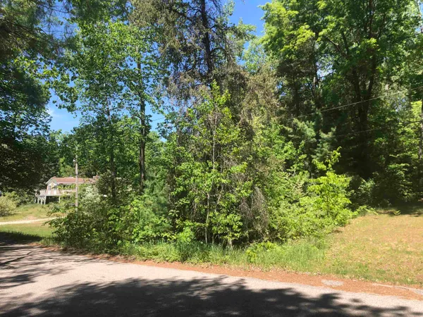 $9,500 | Tbd North Scott Drive, Farwell, MI 48622