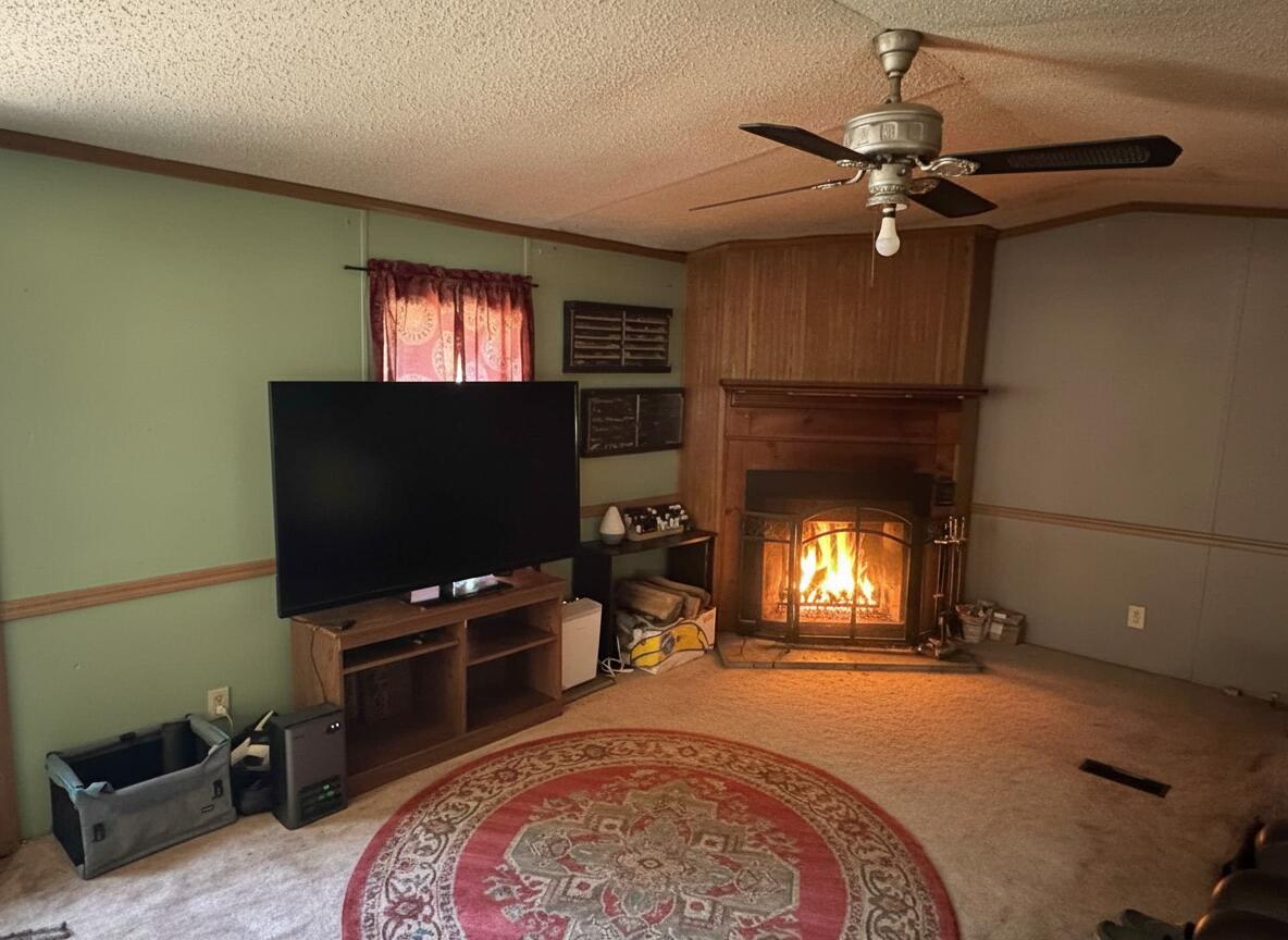 15075 Pierce Road Stanwood, MI 49346 - Photo 2 of 16 1783011229884