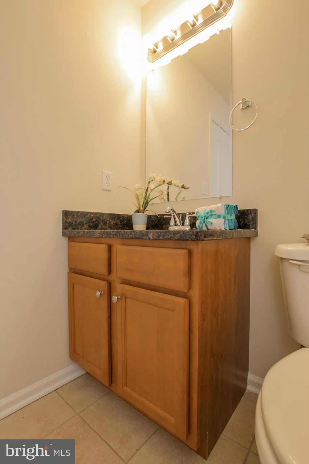 3117 Partlow Road Partlow, VA 22534 - Photo 21 of 30 a bathroom with a granite countertop sink and a toilet