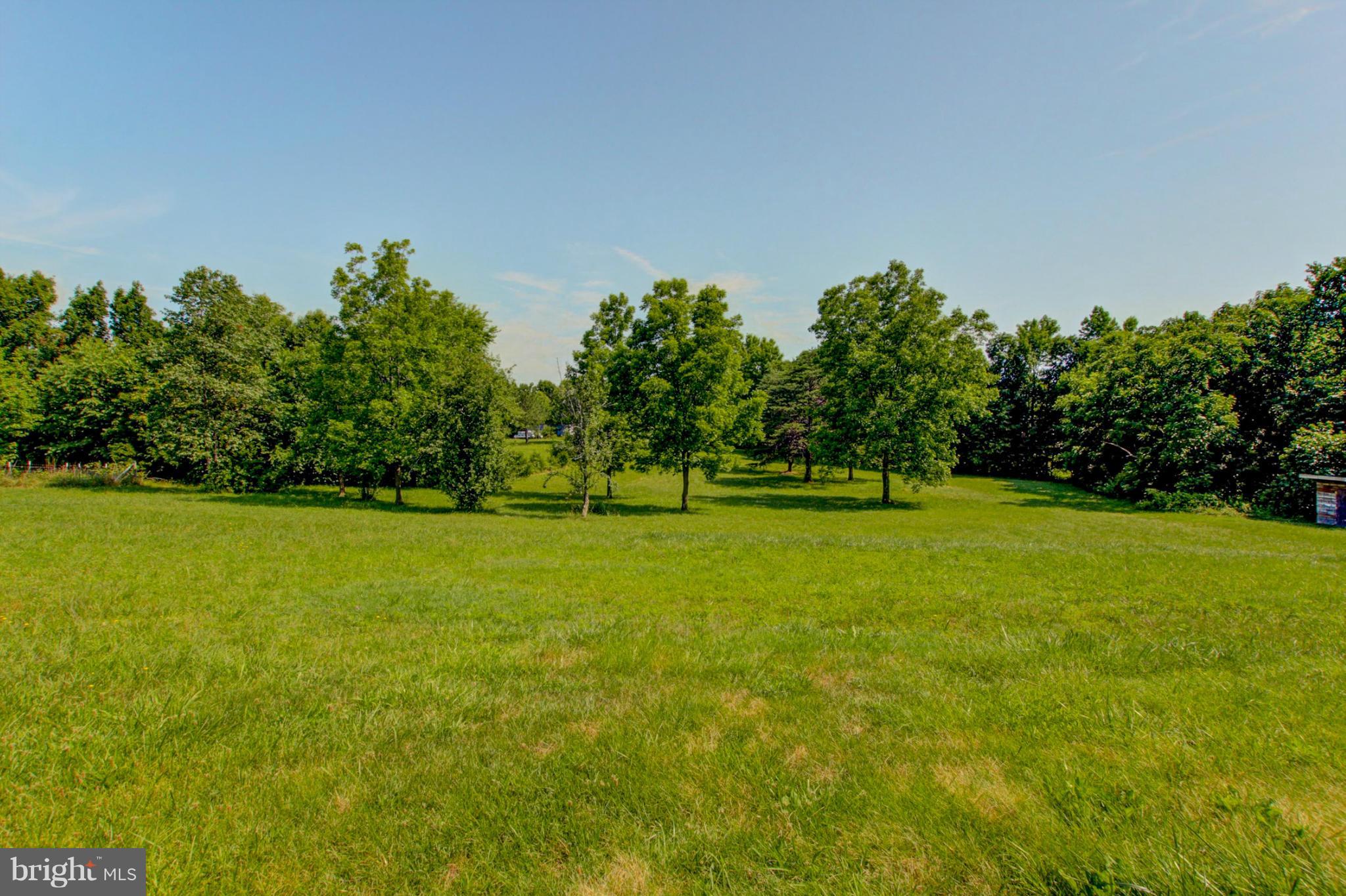 3117 Partlow Road Partlow, VA 22534 - Photo 4 of 30 a view of a green field with trees