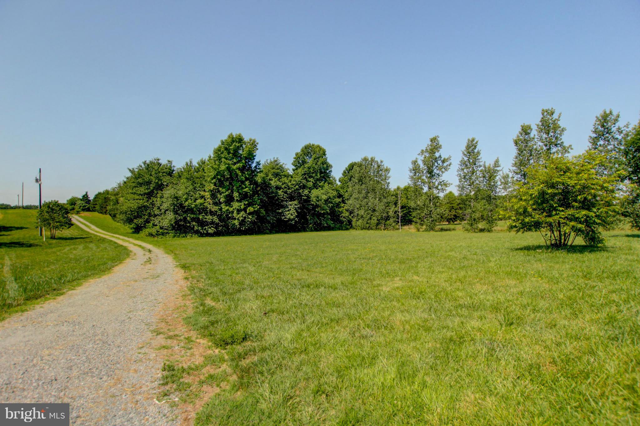 3117 Partlow Road Partlow, VA 22534 - Photo 10 of 30 a view of a yard with a tree