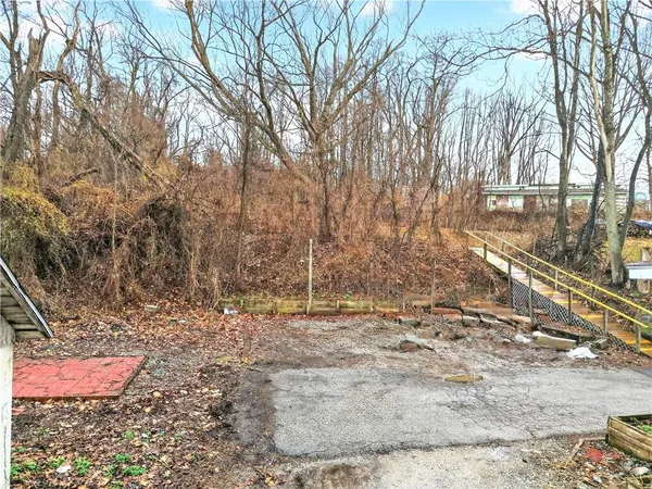 a view of a backyard with large trees