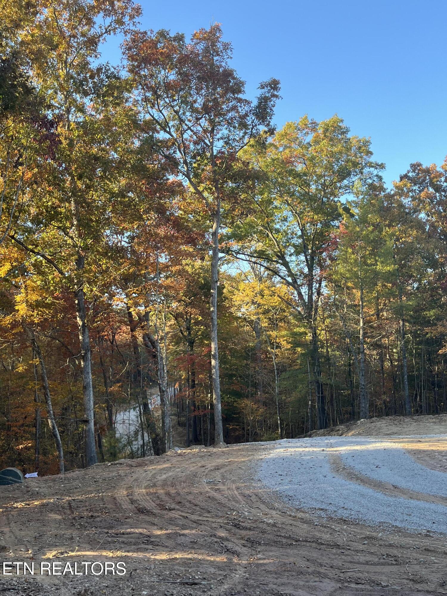 103 Cherokee Path Tellico Plains, TN 37385 - Photo 27 of 58 IMG_1736