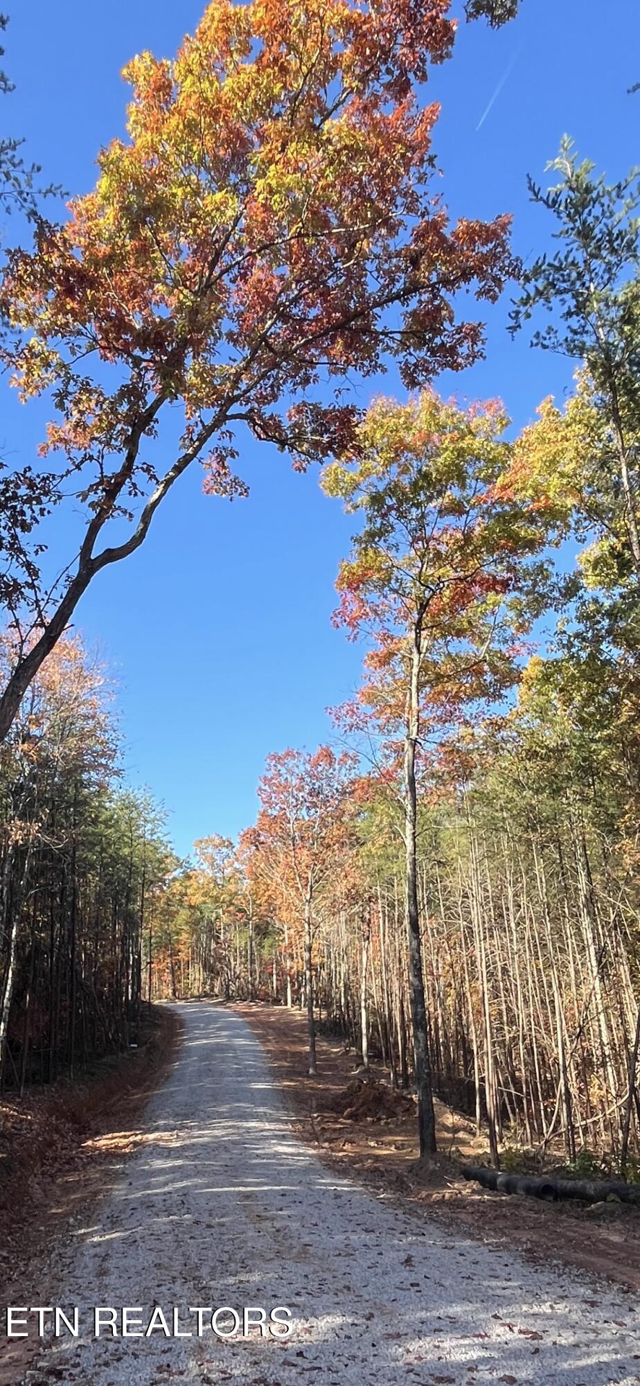 103 Cherokee Path Tellico Plains, TN 37385 - Photo 34 of 58 IMG_1702
