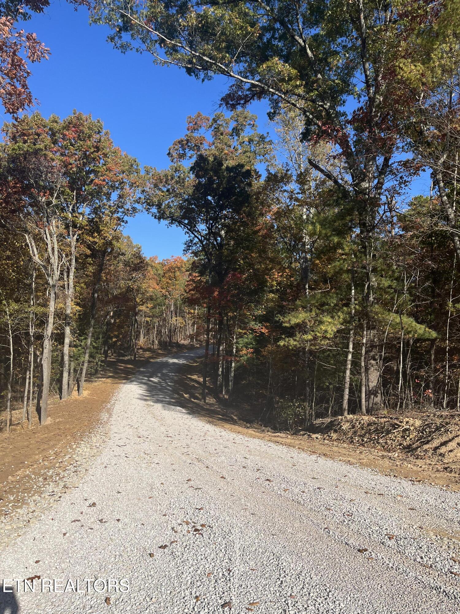 103 Cherokee Path Tellico Plains, TN 37385 - Photo 10 of 58 IMG_1621