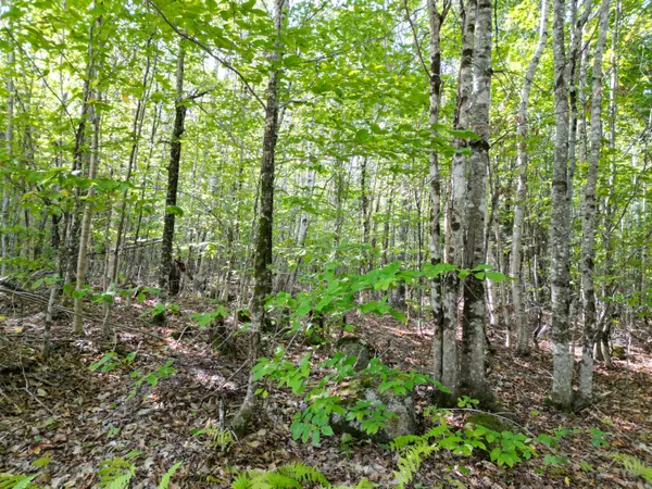 $189,000 | 73 Homestead Drive, Lakeville, ME 04487