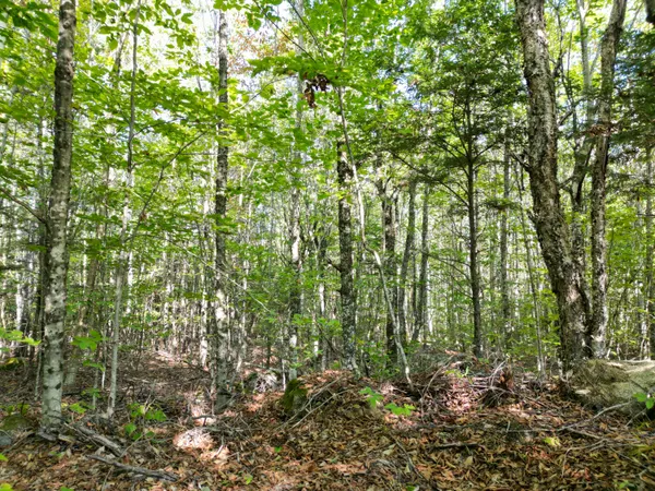 $189,000 | 73 Homestead Drive, Lakeville, ME 04487