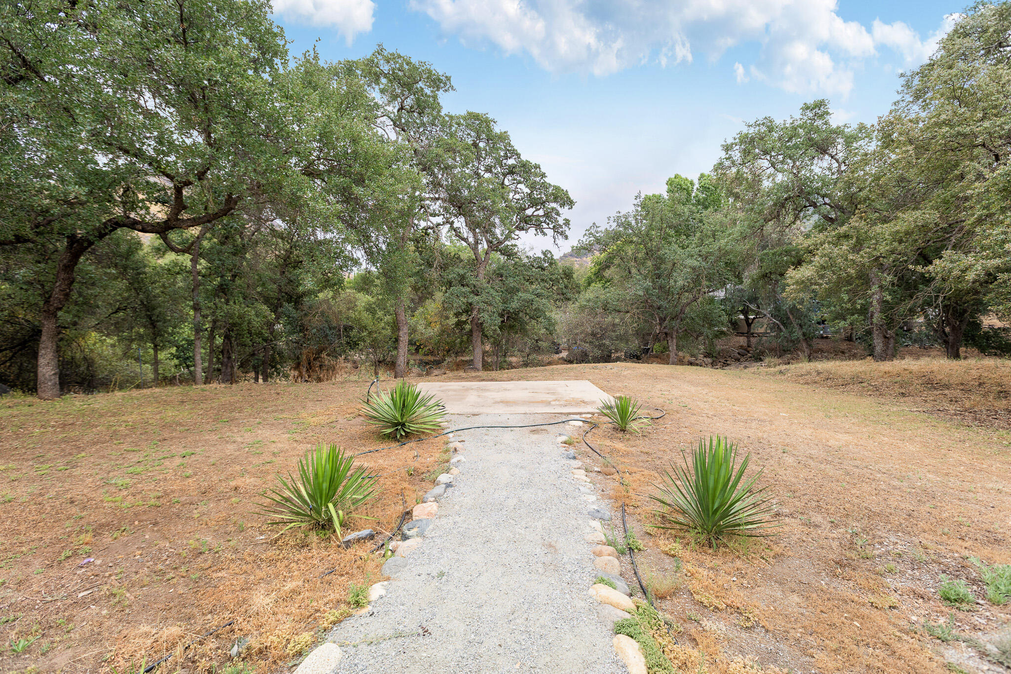 40826 Grouse Drive Three Rivers, CA 93271 - Photo 60 of 75 56 Backyard