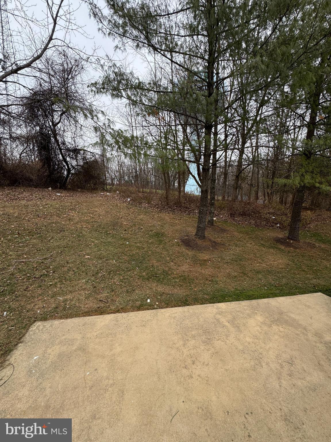 26071 Ridge Manor Drive Damascus, MD 20872 - Photo 28 of 29 a view of yard with trees