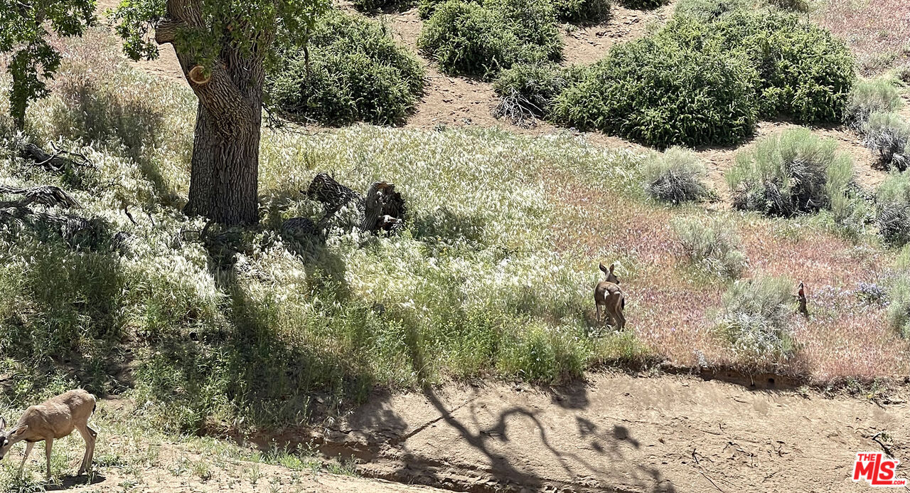 0 Lebec Oaks Road Lebec, CA 93243 - Photo 12 of 13 a view of a covered with snow in between of forest