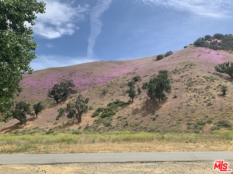 0 Lebec Oaks Road Lebec, CA 93243 - Photo 6 of 13 a view of a dry yard