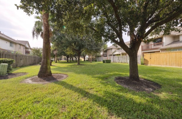 6426 East Linpar Court Houston, TX 77040 - Photo 21 of 23 a view of a tree in a yard with a tree
