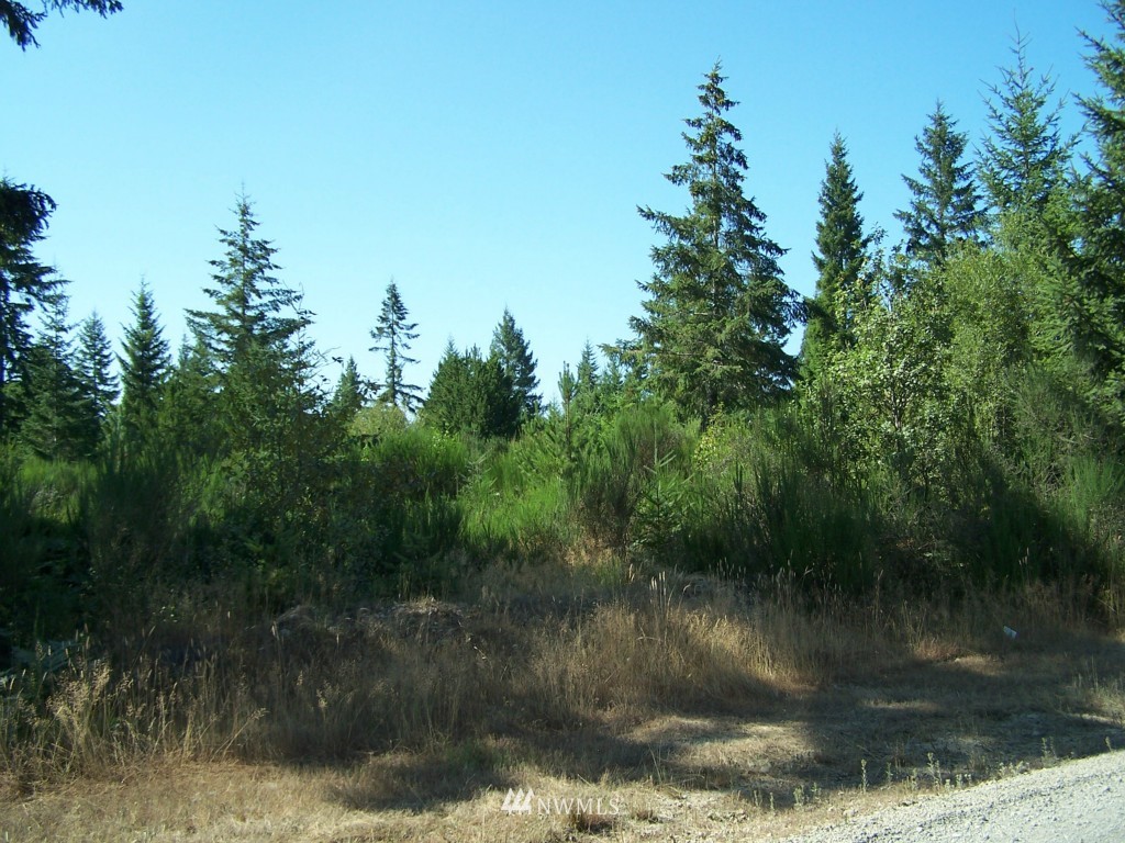 14 Shetland Road Shelton, WA 98584 - Photo 1 of 3 Gallery Image 1