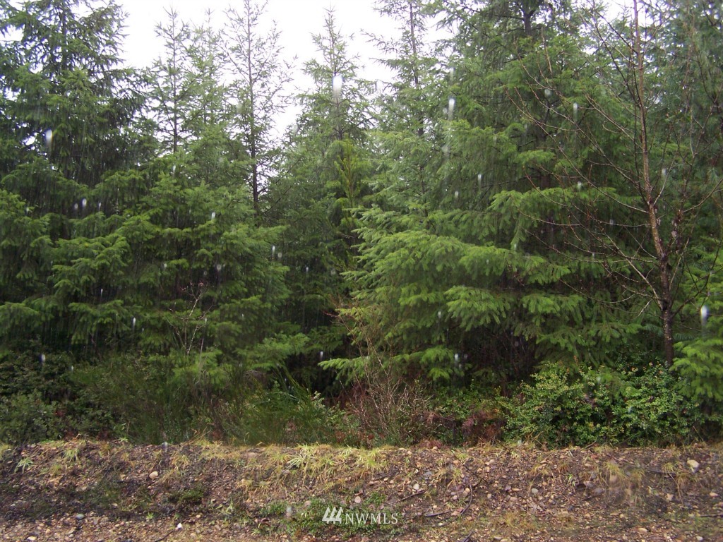 14 Shetland Road Shelton, WA 98584 - Photo 3 of 3 Gallery Image 3