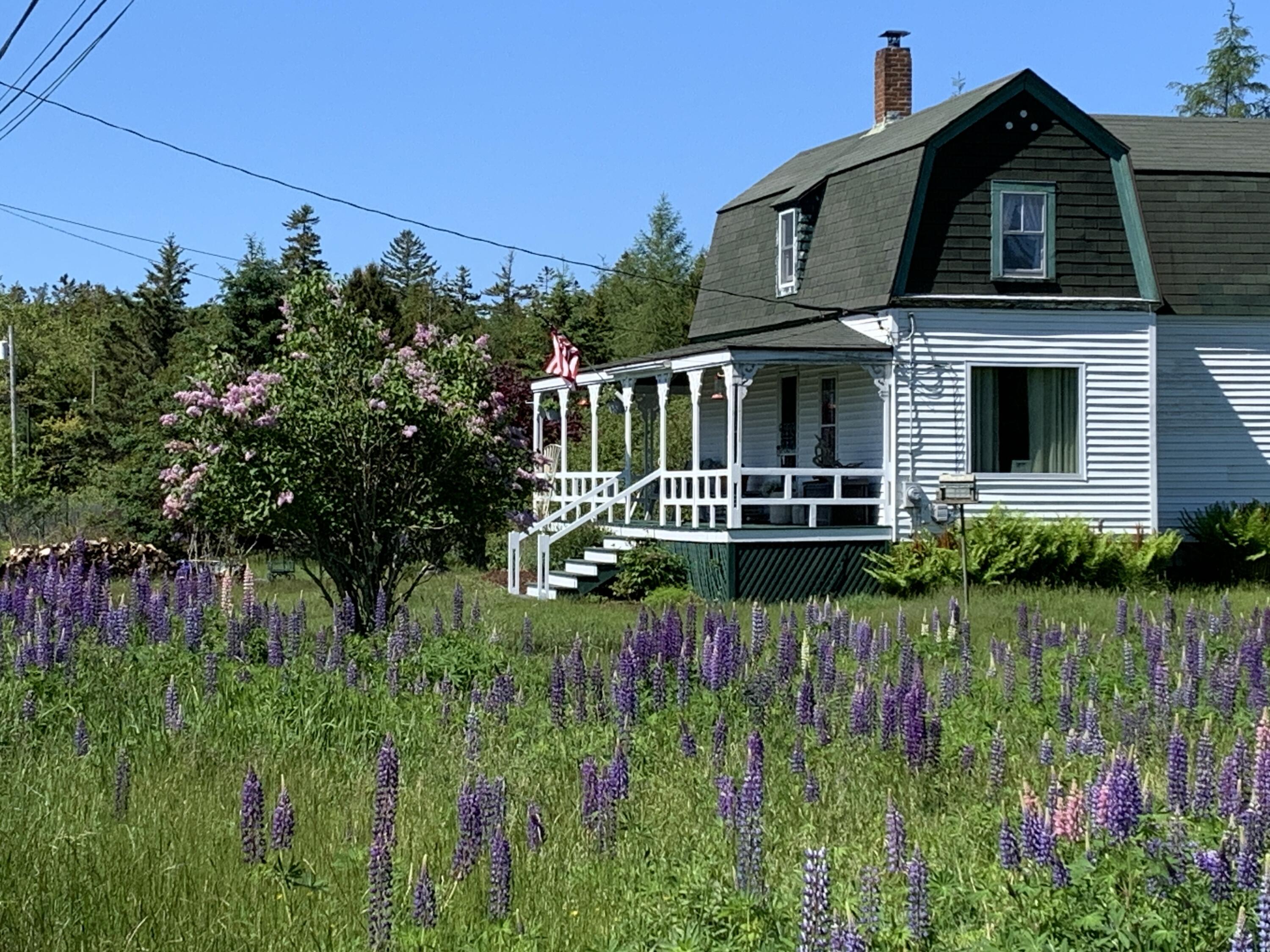 30 Dog Point Road Cranberry Isles, ME 04625 - Photo 1 of 14 Welcome to 30 Dog Point Road