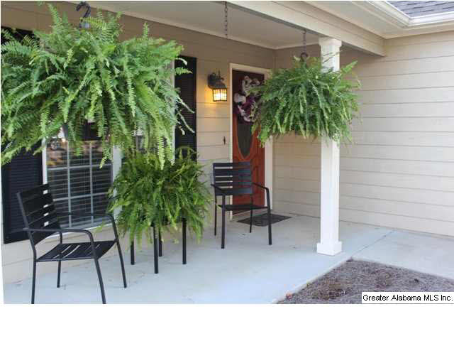 133 Spring Street Calera, AL 35040 - Photo 1 of 32