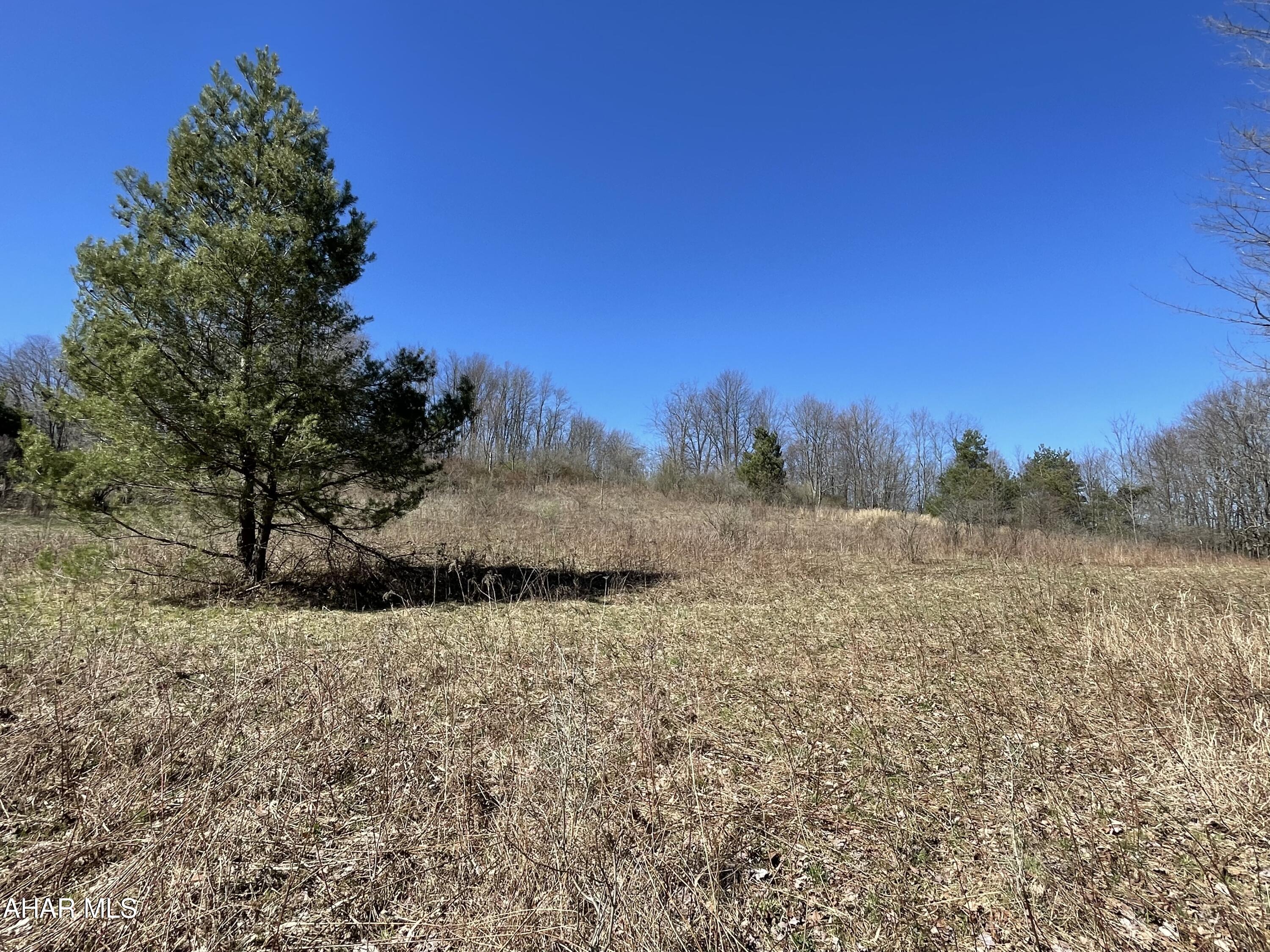 . Brick Road Ebensburg, PA 15931 - Photo 16 of 20